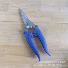 ���P�늹����h�����~�����FƤ���I�ø�Ӳ����֦���ò�ժ��