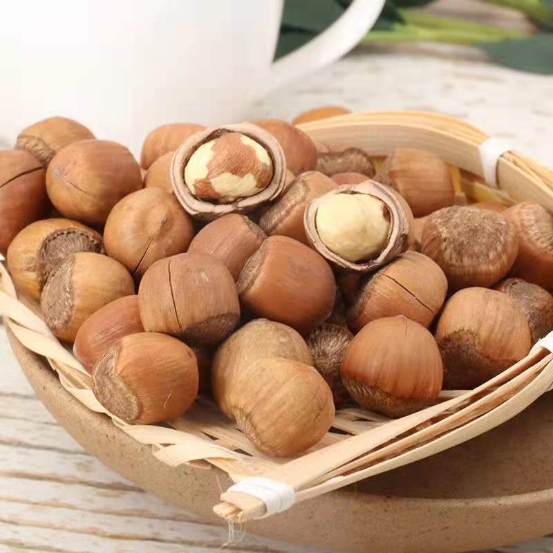 Hazelnut wholesale Northeast Pellicle Hand shot Fry fresh new goods Opening Dayuan factory One piece wholesale