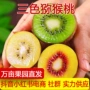河南三色新鲜奇异果
