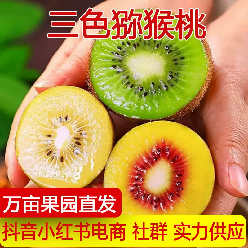 河南三色猕猴桃当季新鲜绿心黄心红心猕猴桃三拼奇异果一件代发