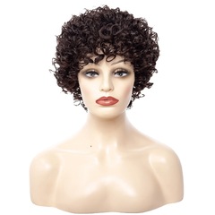 European and American Wigs, Short Curly Hairpieces, Best-Selling African-Style Wigs, Petite Curly Hair Wigs