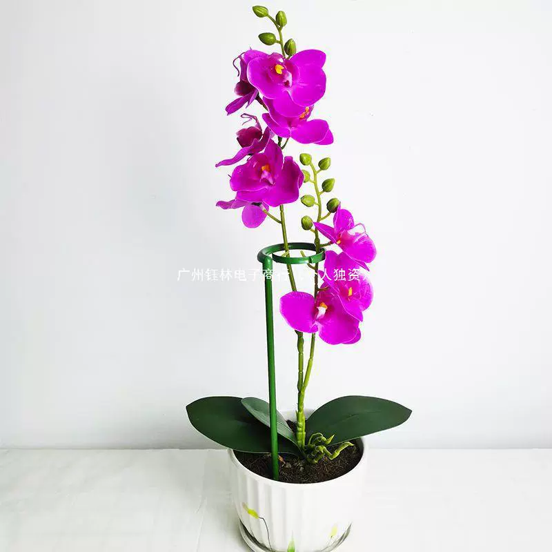 Растительная опора новая цветочная горшечная фиксированная стойка наружная цветочная форма опора скоба