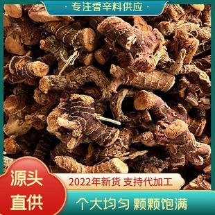 ������������С�������ָ��U�����������u���u�ⶡ��V���خa�r��