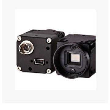 STC-TC83USB-AH  USB2.0 彩色工业相机