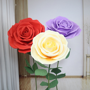 ��c���ͻ���b����̈�������ꐔzӰ�������wPE����Ʒõ�廨�^