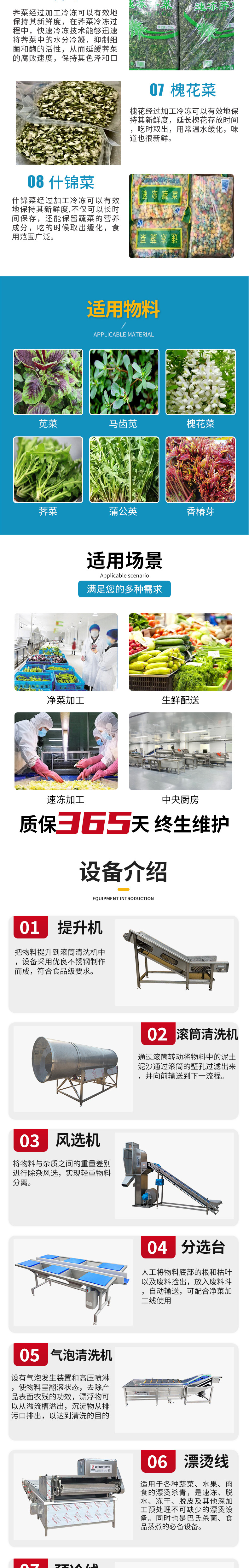 蒲公英成套流水线详情_02