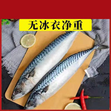 鮁魚青占魚鮐魚鮐整條新鮮冷凍青花魚深海海魚海鮮水產批發速賣通