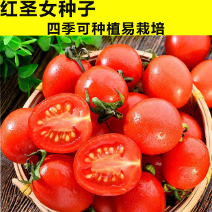 ���ѷN�ӷNˮ�����Ի��N�҃��̨�˷N���߲˷N�� �^�p��N�����