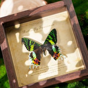 ������˱�����Ʒչ�������նY���ֹ�diyС���Y��������x�˱�