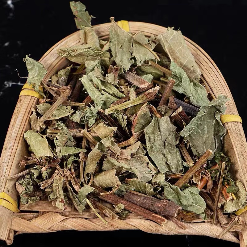 Dried Polygonum Chinense Herb Huo Tan Mu 1000g Traditional Chinese Herbal Tea Ingredient overview