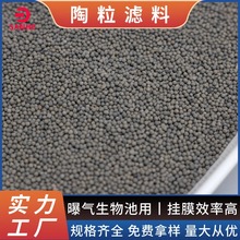 陶粒滤料 2-4mm规格 高孔隙率过滤填料污水处理 生物陶粒滤料厂家