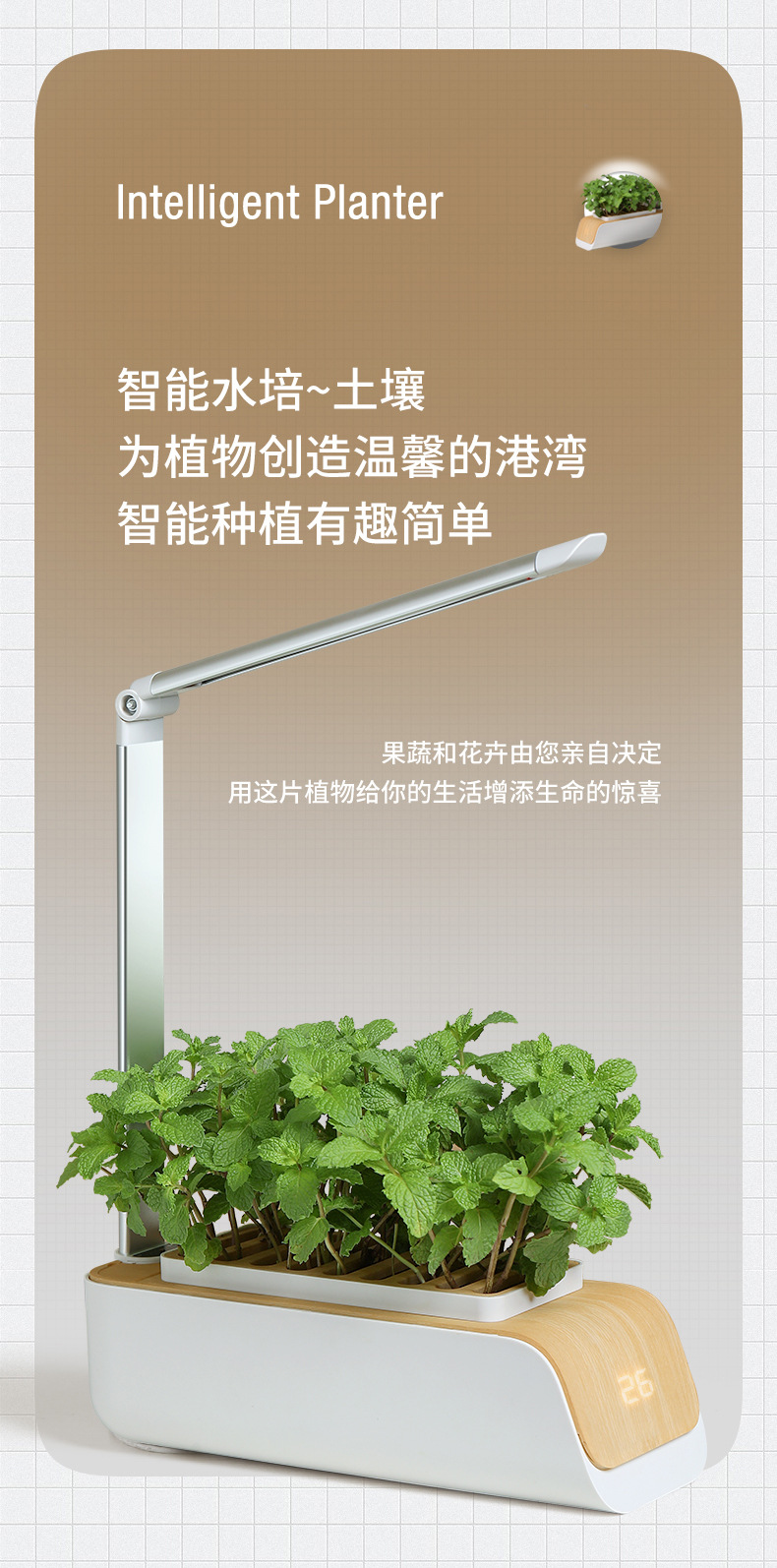 详情1_03.jpg
