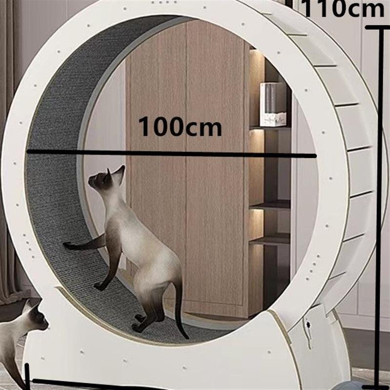 대형 흰색 밀도 보드(7.5kg 이내)