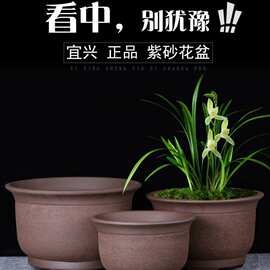 宜兴特大紫砂花盆绿萝盆景多肉种菜兰花盆圆口陶瓷盆