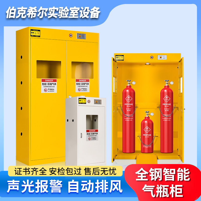实验室全钢气体防爆柜双瓶气瓶柜煤气罐氧气乙炔钢瓶储存柜气瓶柜