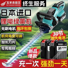 ���������ڵ綯��������ʽ��֦������֦԰���̻�﮵�����޼���