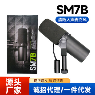Cross-Border Export Sm7B Wired Dynamic Microphone Live Recording Studio Dubbing Douyin Host Dubbing Professional Microphone