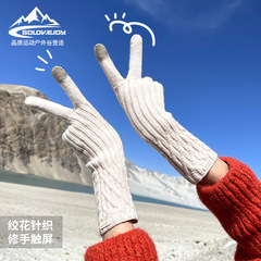 Winter Warmth Knit Gloves for Women, Thick Insulation, Cold-Proof Cuff, Extended, Windproof Korean Style Leisure Touch Screen Gloves DZ129