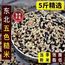 东北五色糙米新米5斤五谷杂粮黑米糙米饭粗粮健身主食五色米非三