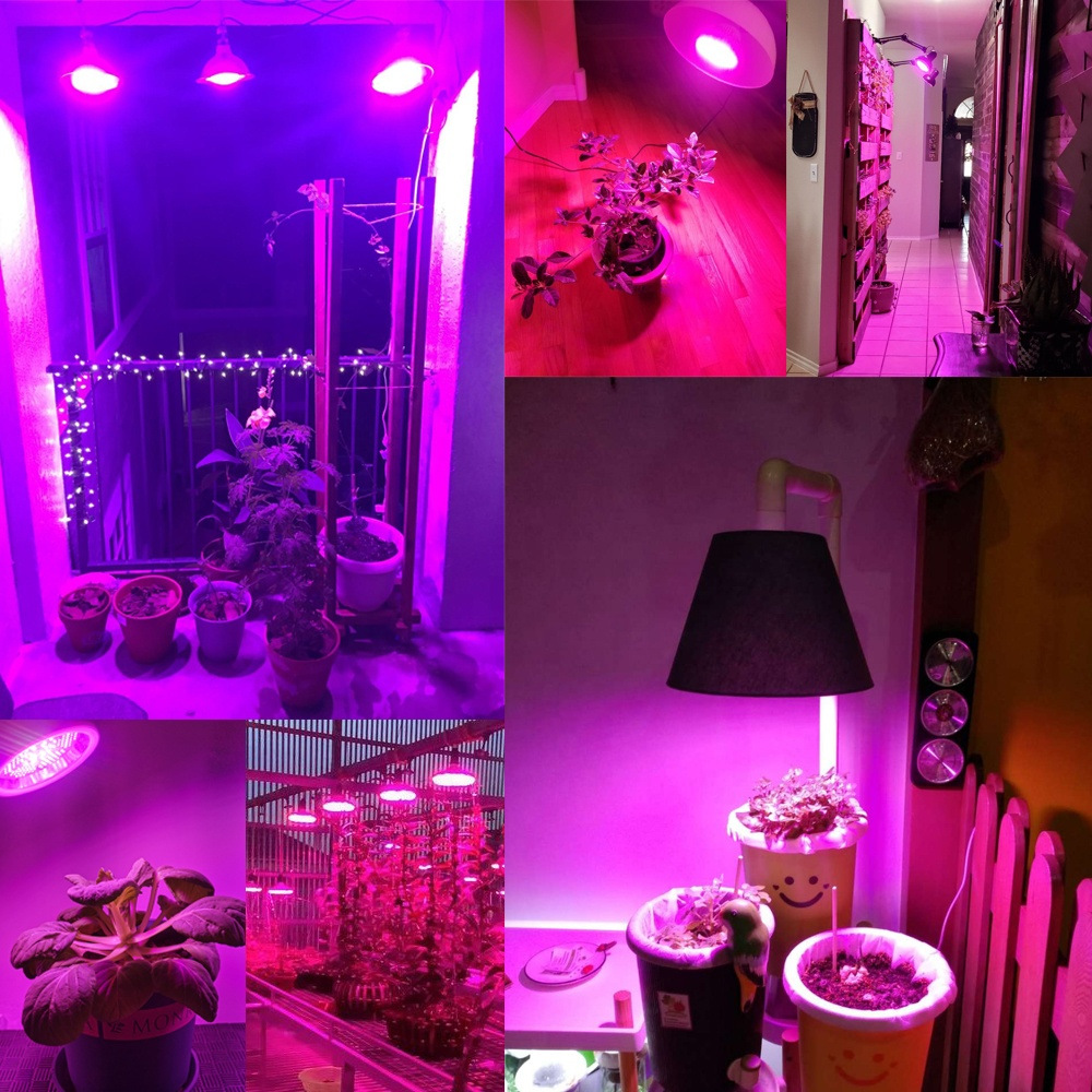 ���Ҷ����Par30����ֲ��������12W���ڶ��⻨����ֲLED�����