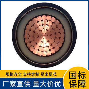 �~о48/66KV FY-YJLW03 1x1000 1200 1600 1800��ρ���߉���|