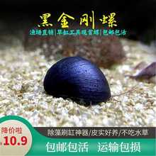 �ڽ�����܊���ֵ�ˮ�׹��߳���ˢ�ןᎧ�^�p�ݺ��B