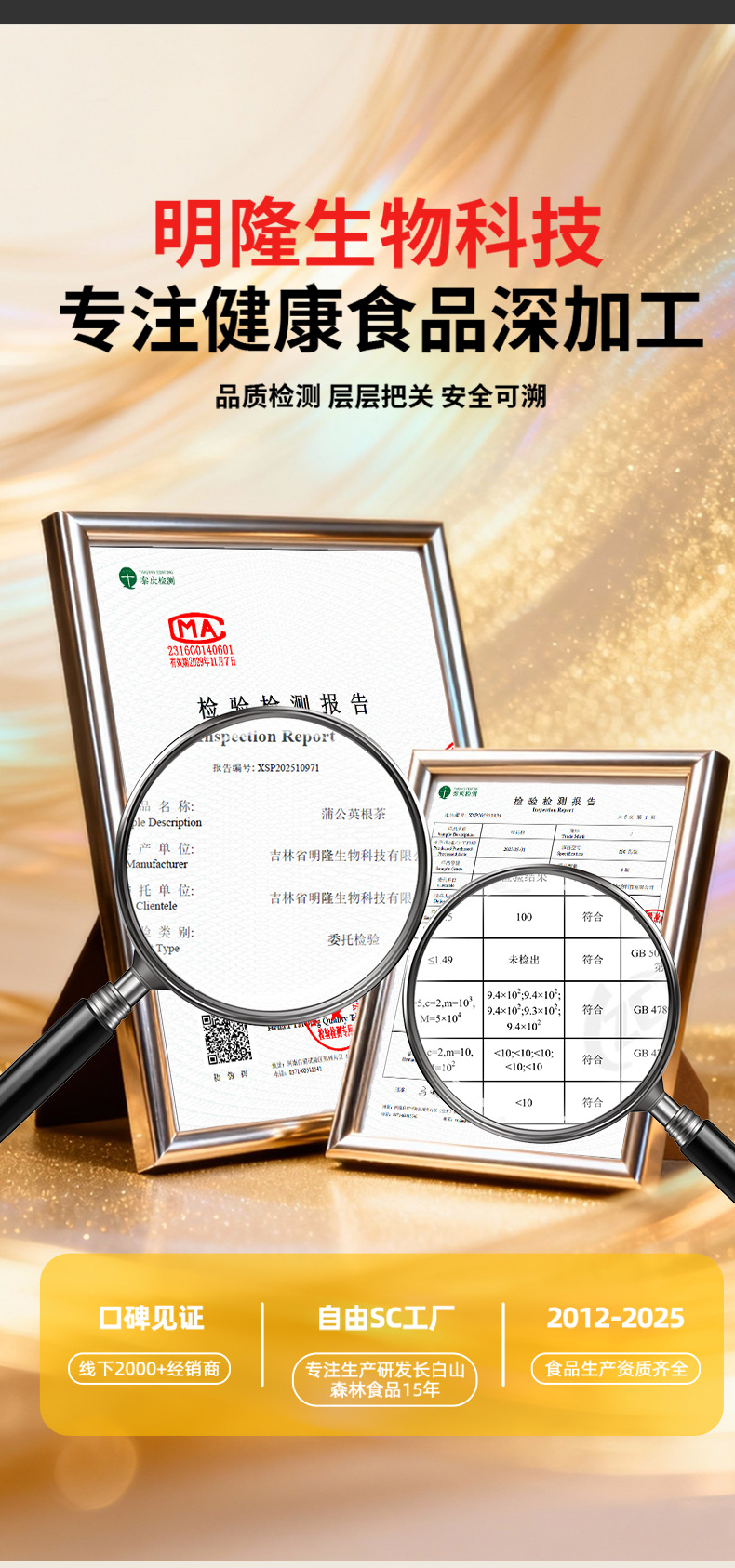 Dandelion Root Tea Roasted Large Granules Changbai Mountain Herbal Tea 750g in use