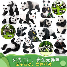 ��������è����ģ�ͷ��� ΢���۶����辰����װ�γ���DIY԰�հڼ�