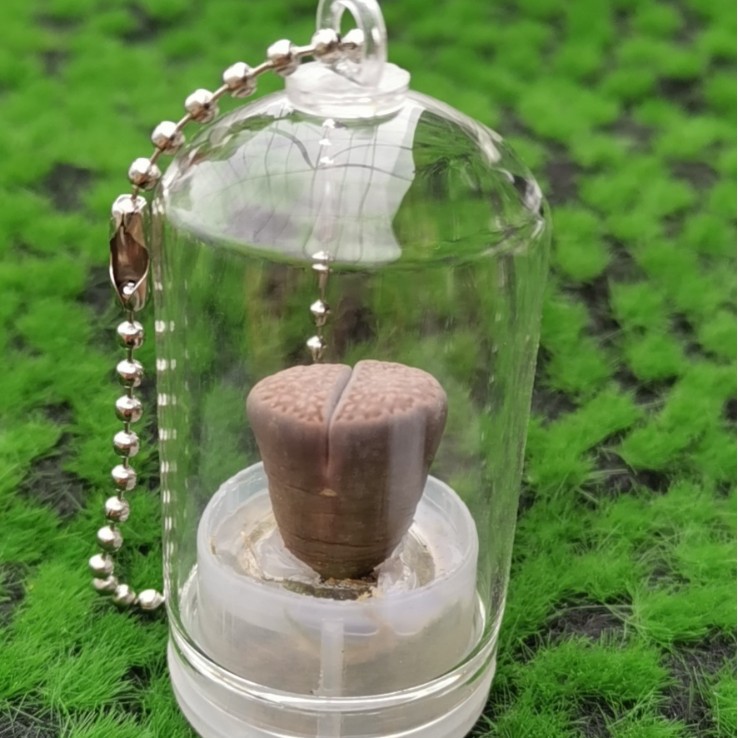 2024-10-21 10:36:20.jpg