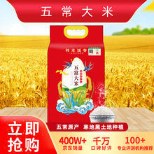 2022新米長粒香米 東北特產五常大米長粒米真空十斤原產地批發