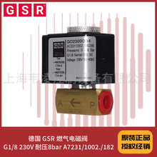 A7231/1002./182  ��ѹ 24VDCG1/8  8bar �¹� GSR ȼ����ŷ�