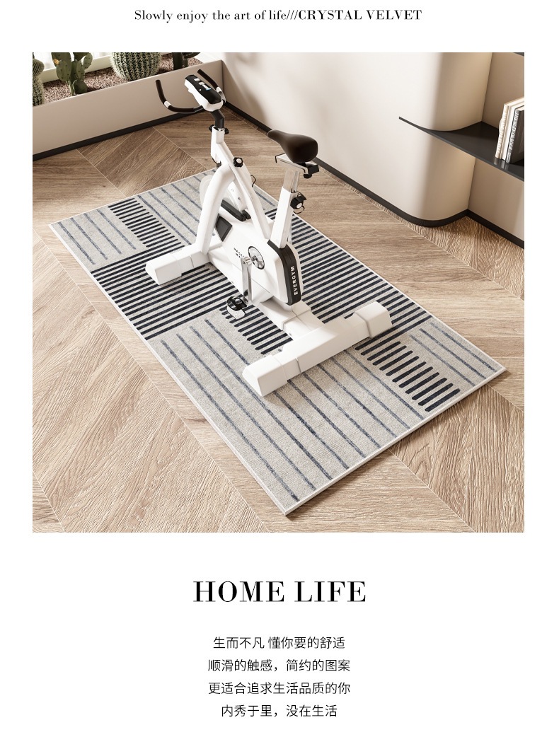 Gym Spinning Silent Shock-Absorbing Anti-Slip Mat Home Simple Bedroom Bedside Blanket Washable Balcony Bay Window Mat