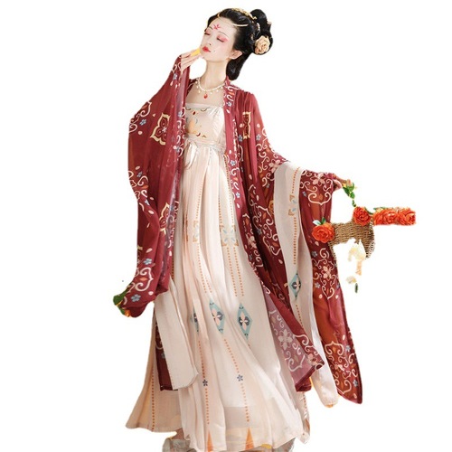Han xu tang women of times adult Fairy hanfu Tang dynasty princess dress for Women tang big sleeve system myrobalan skirt unlined upper garment 