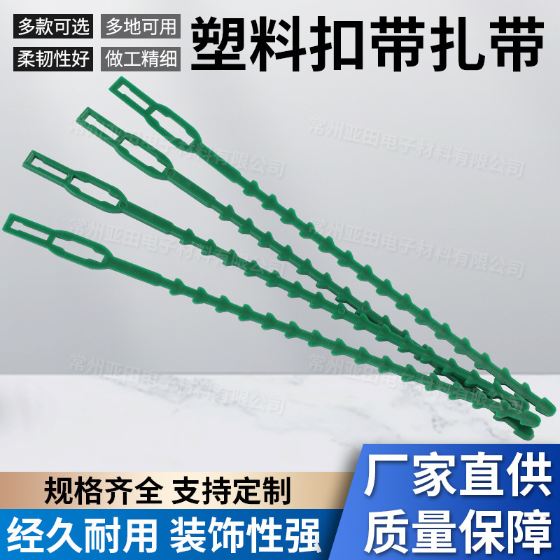 重复园艺扎带绿色鱼骨扎带园林景观绑线防猫刺自锁式鱼骨塑料扎带