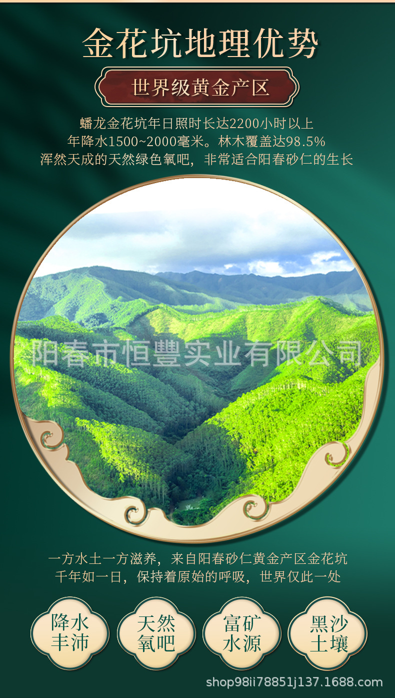 Jinhua Pit Spring Amomum 9g Dried Sha Ren Fruit Traditional Chinese Herb overview
