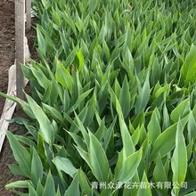 ˮ�����˽� �S���t���pɫ���˽�ˮ�w�G���������^�p��ؾG�����l