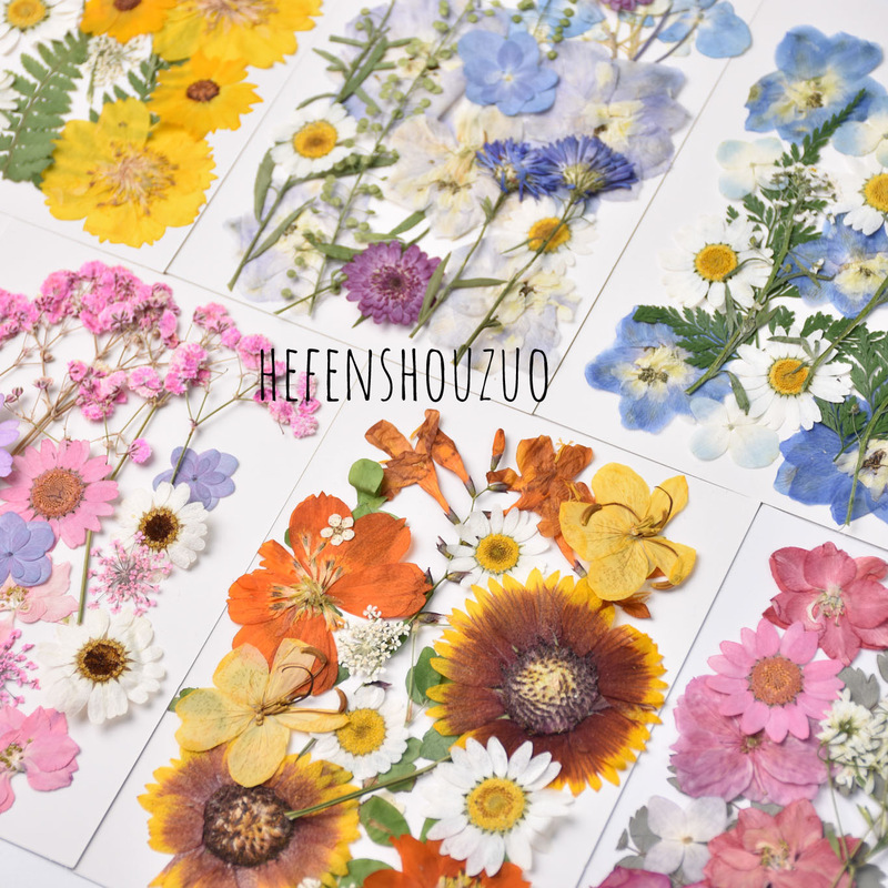 Plant Specimen Kindergarten Handmade Material Sticker Portrait Dried Flower Photo Frame Glue Drop Coaster Ins Three Pieces Free Shipping Plant Specimen Kindergarten Handmade Material Sticker Portrait Dried Flower Photo Frame Glue Drop Coaster Ins Three Pieces Free Shipping