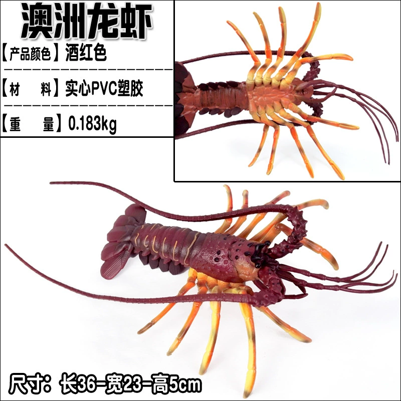 Игрушка, большие морские когнитивные украшения