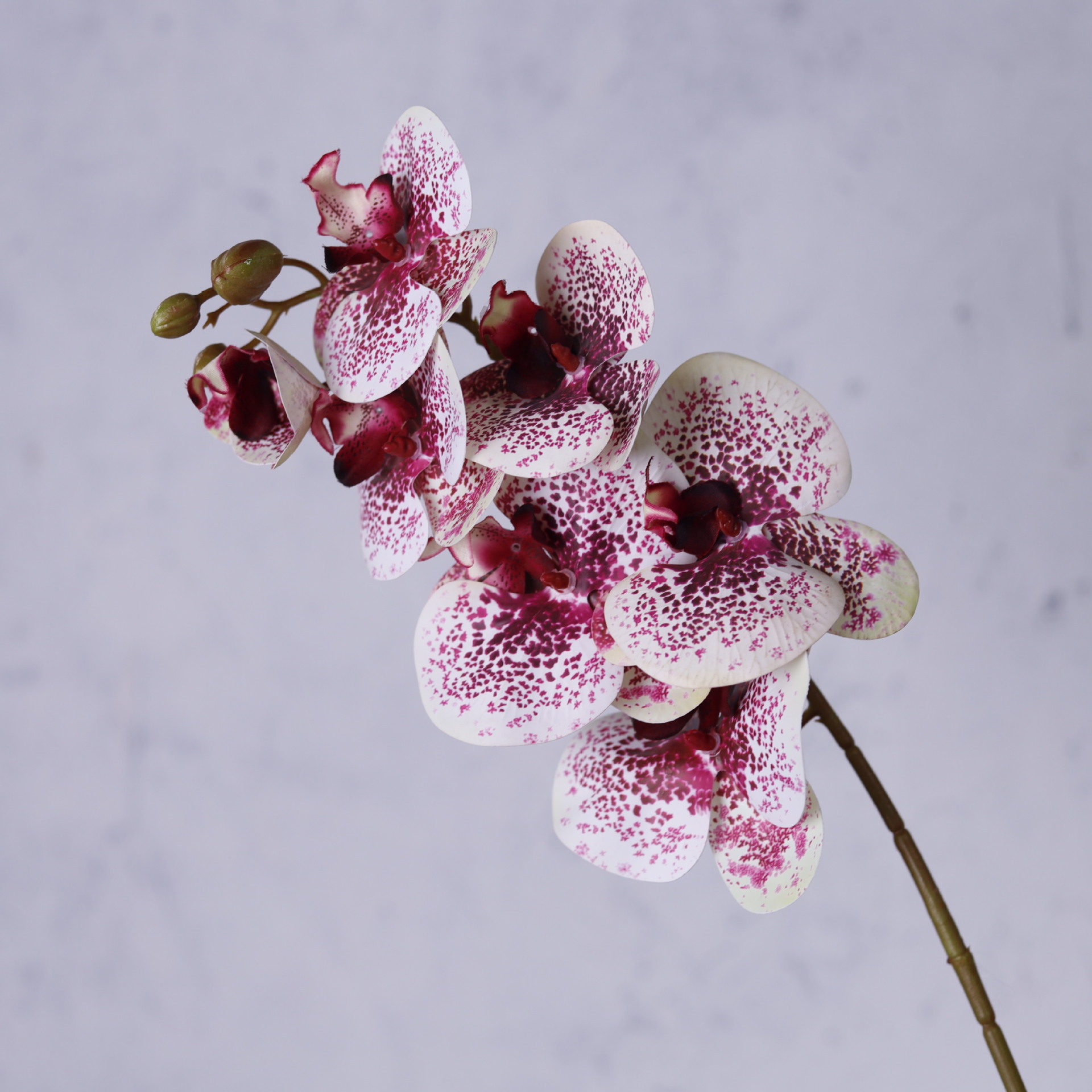 Impresión 3D de 7 cabezas de orquídeas mariposa flor de decoración de flores de alto nivel flor de nicho decoración floral decoración de sala de estar