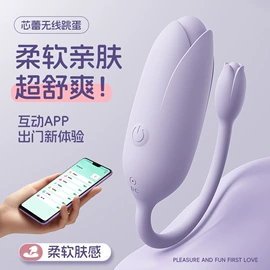 润滑剂;其他情趣用品;情趣跳蛋