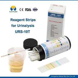 URS-10T出口10项快速检测试纸100条装分析试纸条PH酮体葡萄糖蛋白