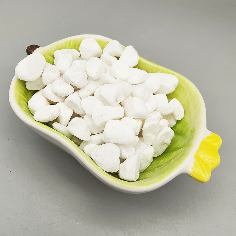 微信图片_202303081055092