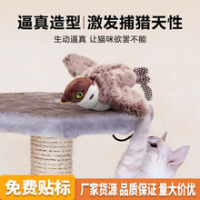 �羳����ë�q؈����Ĵ����늄Ӷ����B؈�����˷�����ȸ��؈�␞