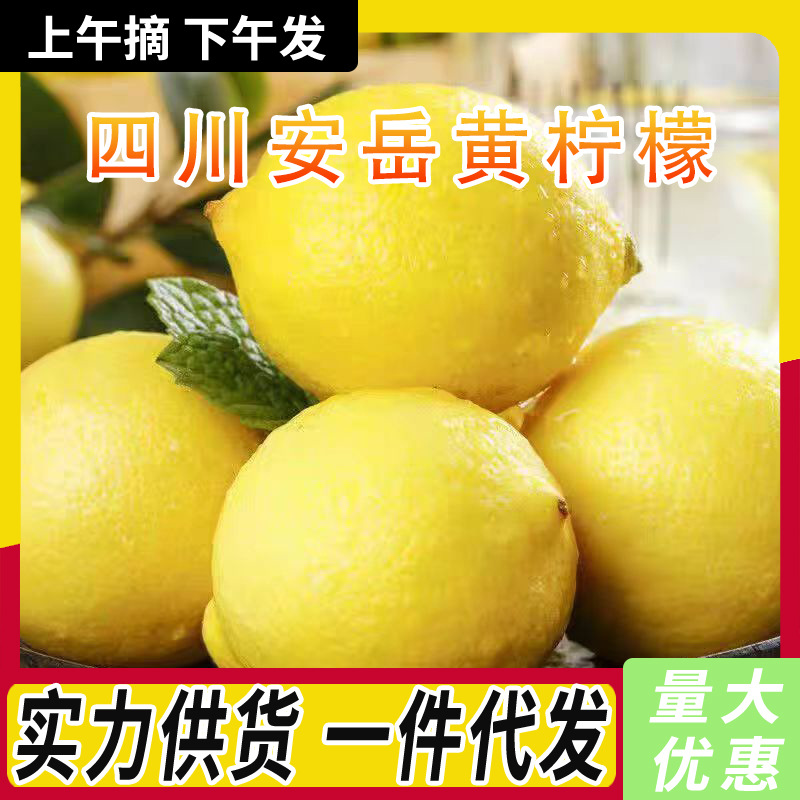 四川安岳黄柠檬产地直发新鲜皮薄柠檬当季水果尤力克现货整箱批发