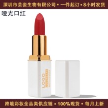 跨境专供厂家批发显色不沾杯防水防汗不掉色Matte哑光口红
