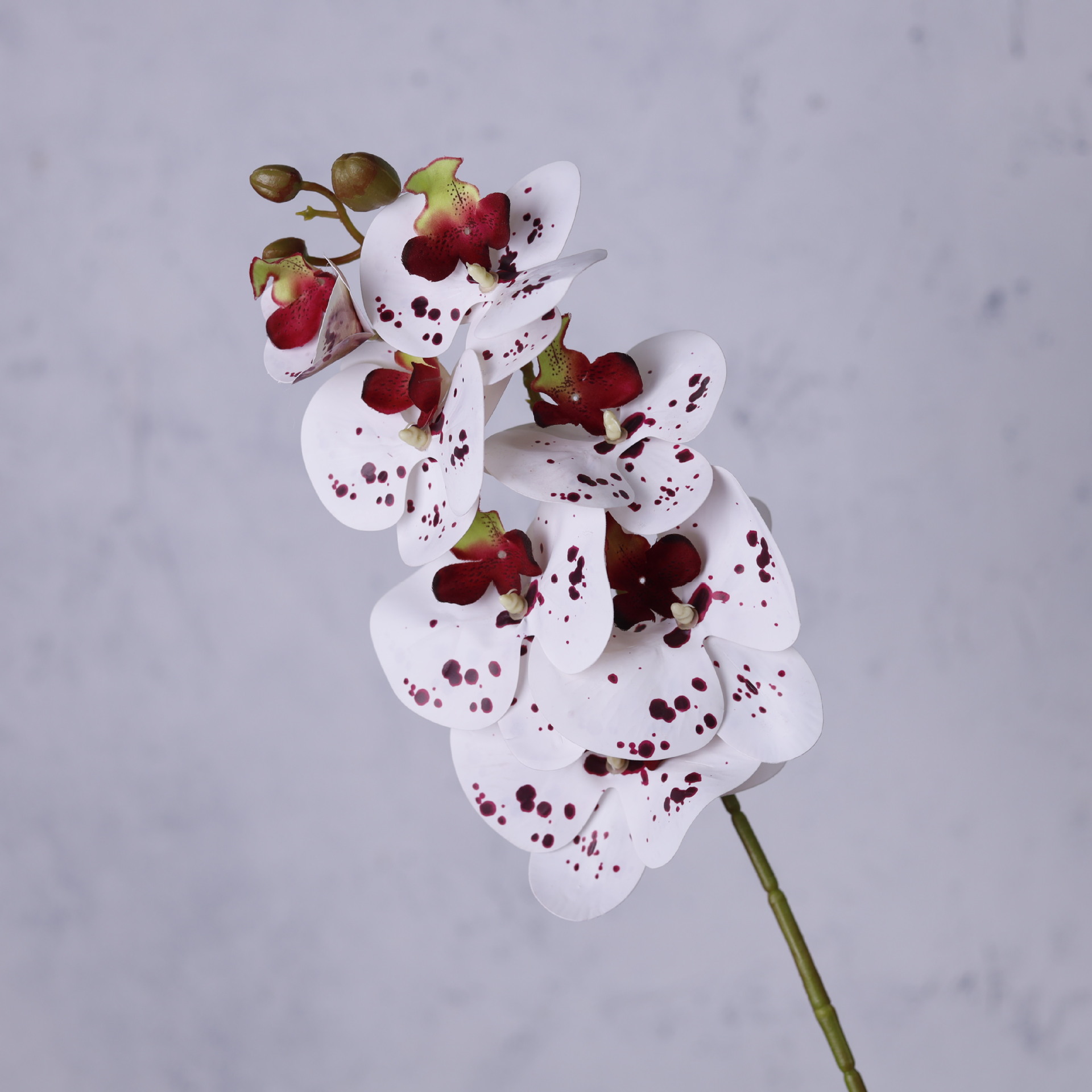 Impresión 3D de 7 cabezas de orquídeas mariposa flor de decoración de flores de alto nivel flor de nicho decoración floral decoración de sala de estar