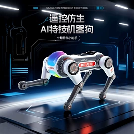 遥控飞机;遥控车;电子玩具