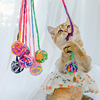 Toy, interactive ball of yarn for gym, cat