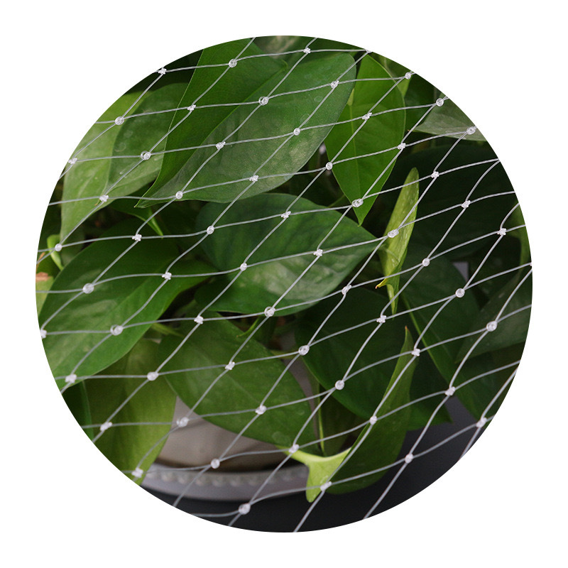 9c3323d5344b9032a6c35a7cf4ad2a