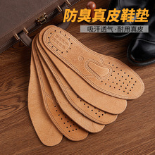 ��ƤЬ�|������ţƤ͸��Ӻ��\�Ӝp��ƤЬ�����iƤЬ�|Ů�ļ�